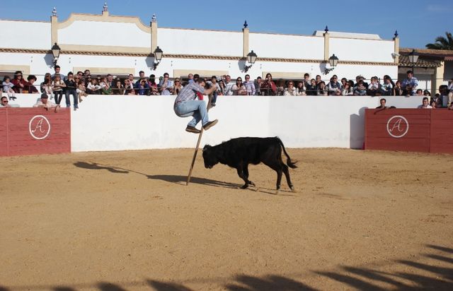Sin Nombre